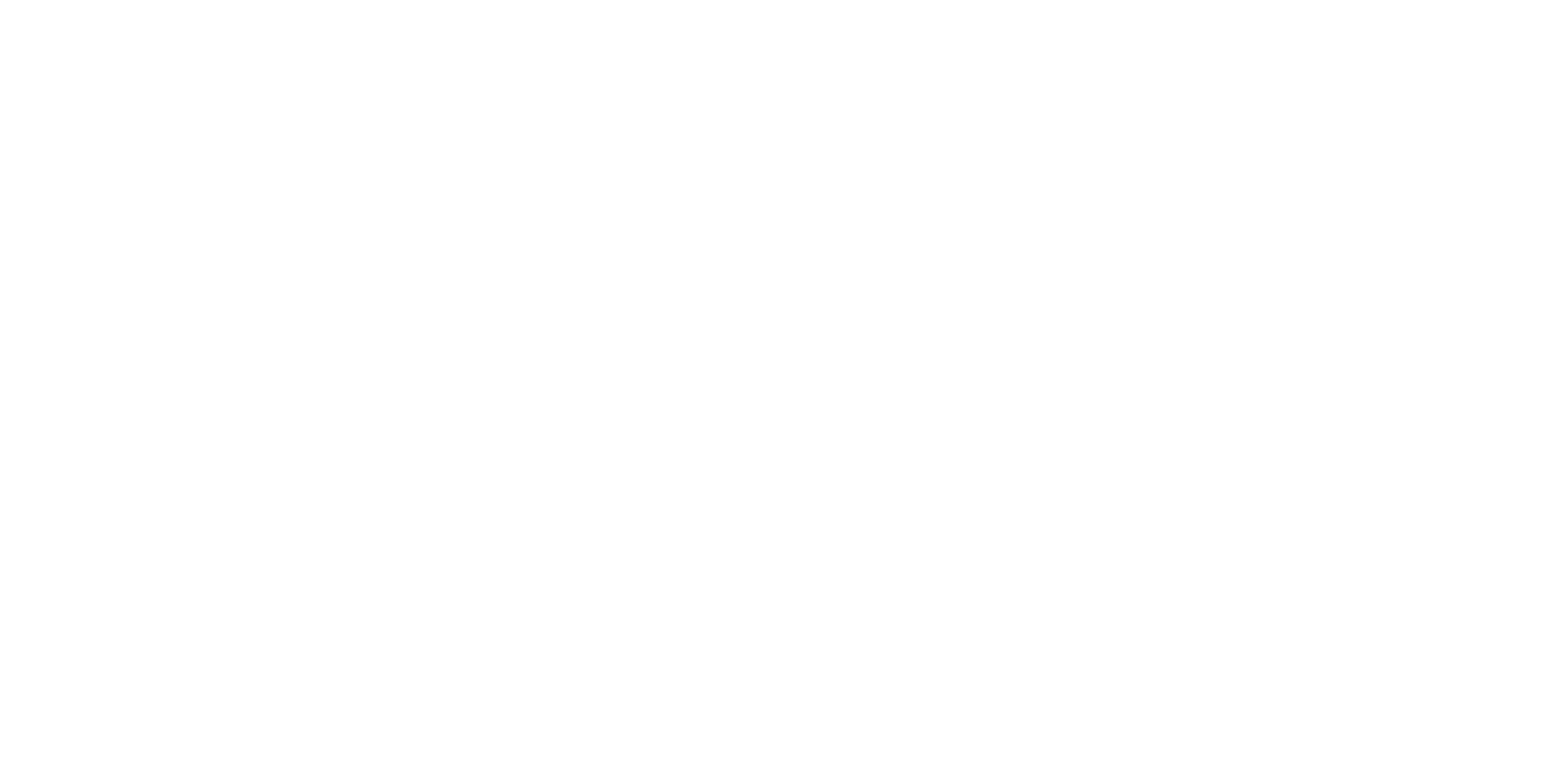 Logo Manipulados Nicola