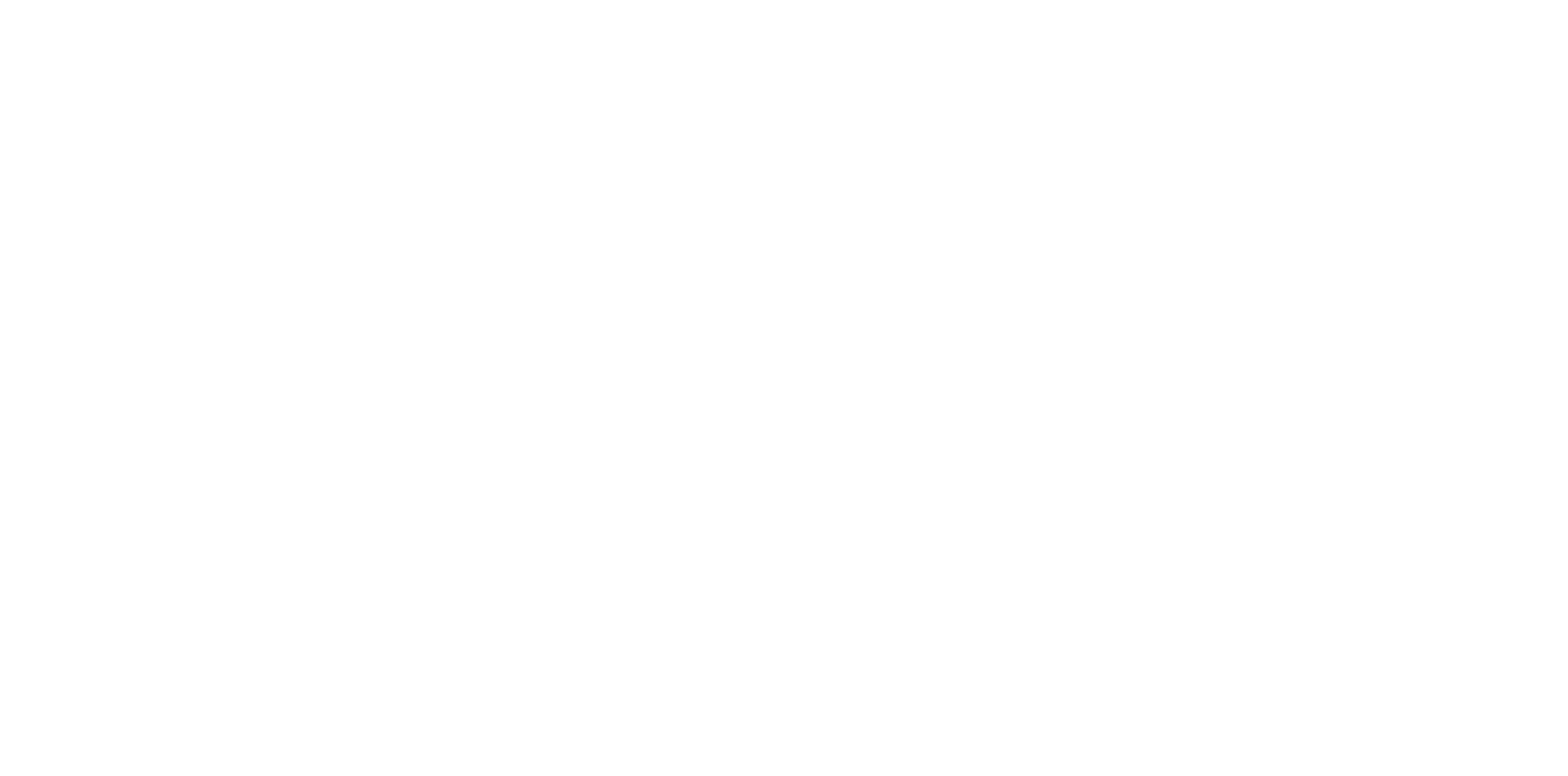 logo viaxes low cost